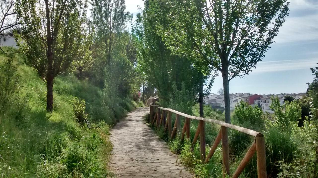 Casa El Paseo Βίλα Arriate Εξωτερικό φωτογραφία